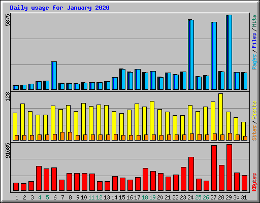 Daily usage for January 2020