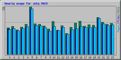 Hourly usage for July 2015