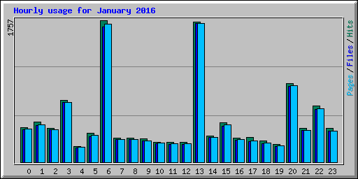 Hourly usage for January 2016