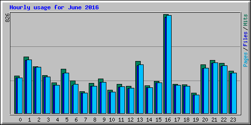 Hourly usage for June 2016