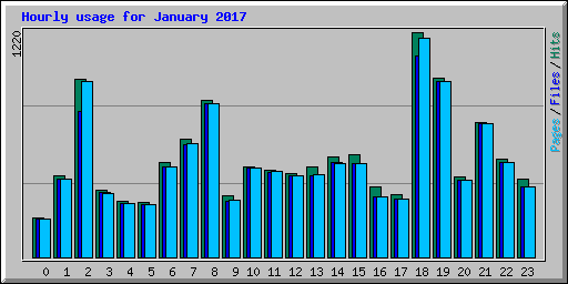 Hourly usage for January 2017