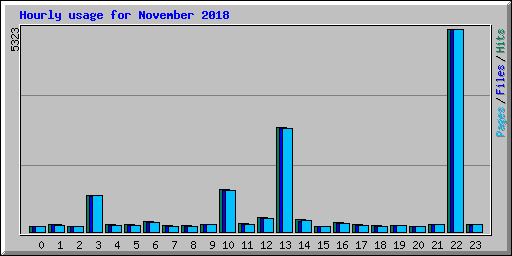 Hourly usage for November 2018