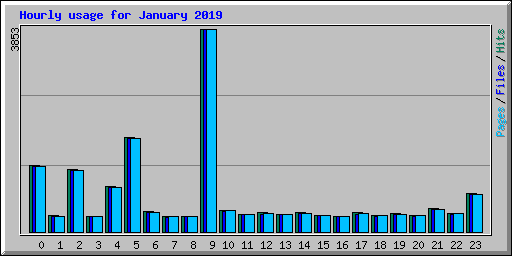 Hourly usage for January 2019