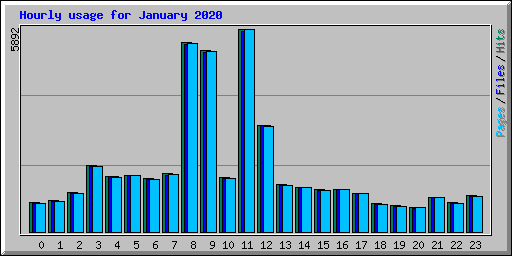 Hourly usage for January 2020