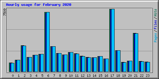 Hourly usage for February 2020